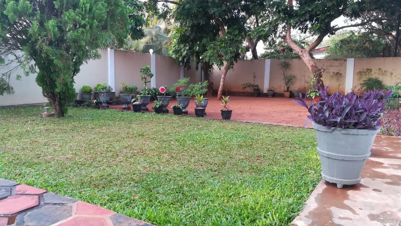 Dayanithi Guest House جافنا المظهر الخارجي الصورة